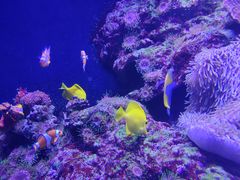 -成都浩海立方海洋公园
