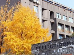 -四川大学(望江校区)