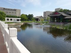 -东北农业大学