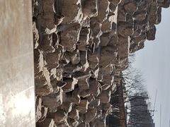 -太原动物园