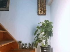 -一棵树咖啡馆(泉乐坊店)