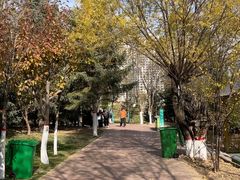 -青藏高原野生动物园