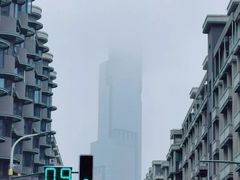 -紫峰大厦