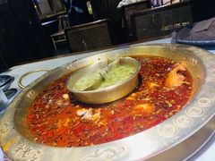 -哥老官重庆美蛙鱼头(龙湖杭州金沙天街店)