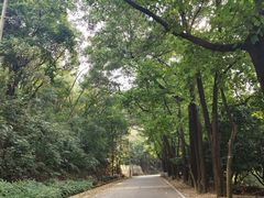 -风云岭森林公园