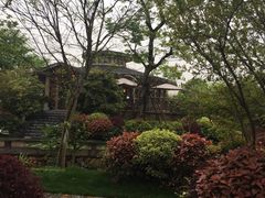 -和茶馆(西溪栖悦城店)