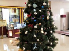 -丽景酒店-宴会厅