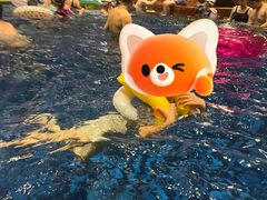 -清河半岛温泉度假酒店