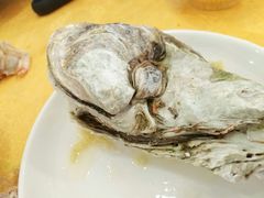-蚝专家(北滘店)