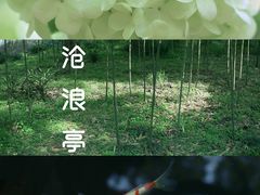-沧浪亭