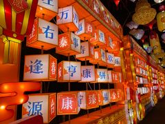 -欢乐海岸椰林沙滩-2025湾区超级灯会
