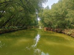 -大湾区中央湿地公园