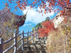 -黑龙潭风景区