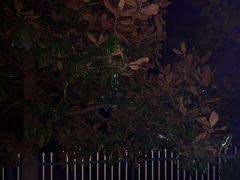 -万达广场(南京江宁店)