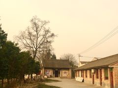 -活死人墓