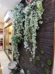 -芳朵美容养生SPA