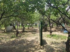 -亲兄弟真人CS团建拓展基地