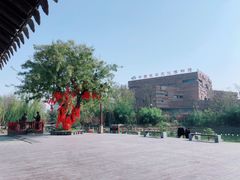 -茯茶镇