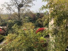 -上海崇明金茂凯悦酒店