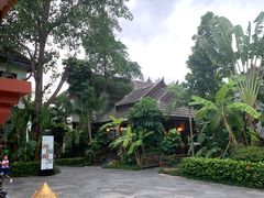 -西双版纳洲际度假酒店兰吧