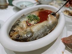 清蒸石鱼-松鹤楼·非遗·苏帮菜(融科店)