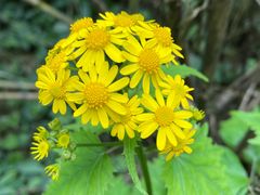 -赤水丹霞旅游区·佛光岩