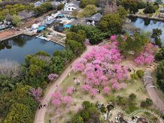 -无锡蠡湖国家湿地公园-蠡园
