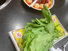 -芦月轩羊蝎子(北蜂窝店)