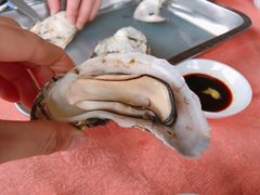 原只蒸海島鮮蠔-龙坛美食店