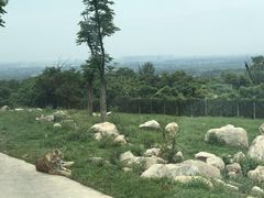 -西安秦岭野生动物园