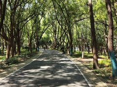 -东湖落雁景区