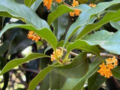 -杭州城北体育公园