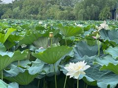 -云龙湖旅游景区