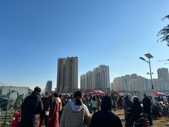 -灵山卫大集
