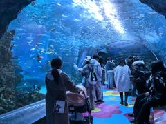 -海合安成都极地海洋公园