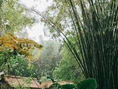 -成都杜甫草堂博物馆