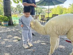 -DORA kids 朵拉儿童摄影花园店