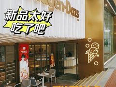 -哈根达斯(武汉天地店)