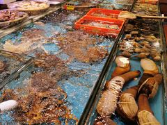象拔蚌-德兴海鲜渔港(辉煌大厦店)
