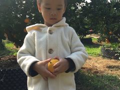 -前小桔亲子创意农场·草莓采摘·露营烧烤