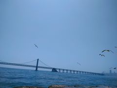 -星海广场
