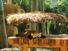 -北京野生动物园