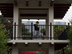 -玉树公园
