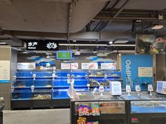 -盒马鲜生(双清路店)