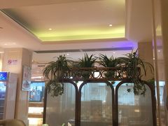 -锦粤宫·融合粤菜(上海金沙江店)