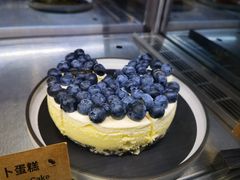 -Wagas沃歌斯(汇智店)