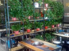 -屋头串串(沁水路店)