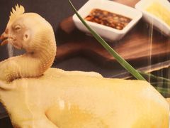 -锦粤宫·精致粤菜(深圳北站店)