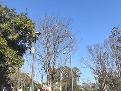 -宁波儿童公园(鄞州区)