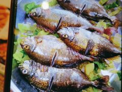 -丰尔粥食·粥底火锅·桑拿鸡(大良总店)